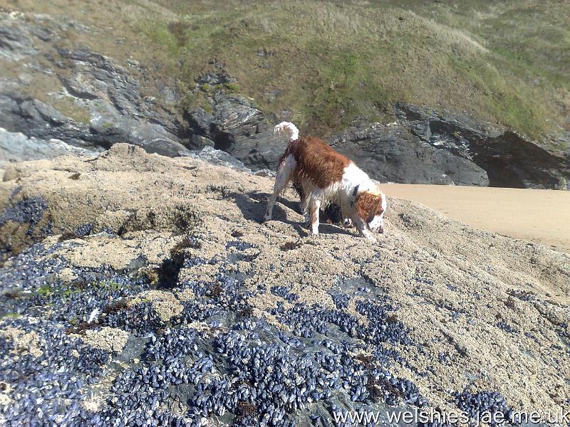 2010-09-09 11.jpg - King of the Castle!